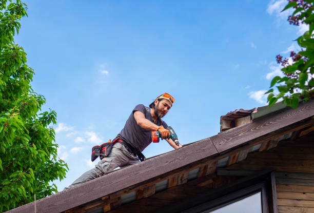 Best Roof Coating and Sealing  in East Brooklyn, CT